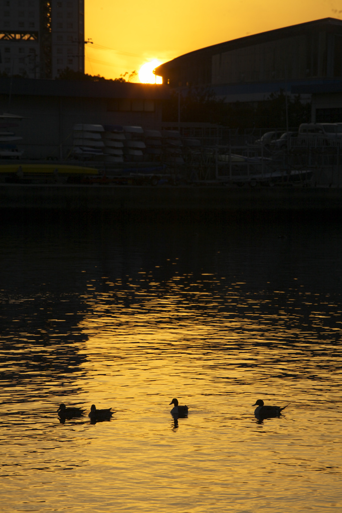 ２０１０　０２　０７ 夕日