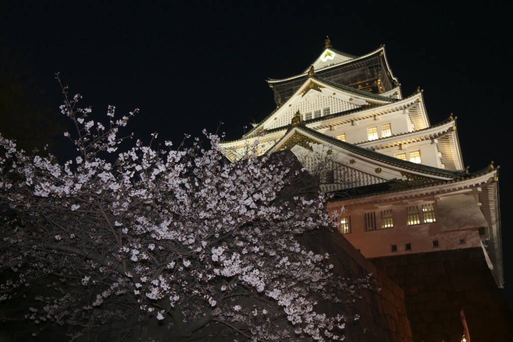 大阪城　桜