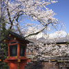 祇園白川