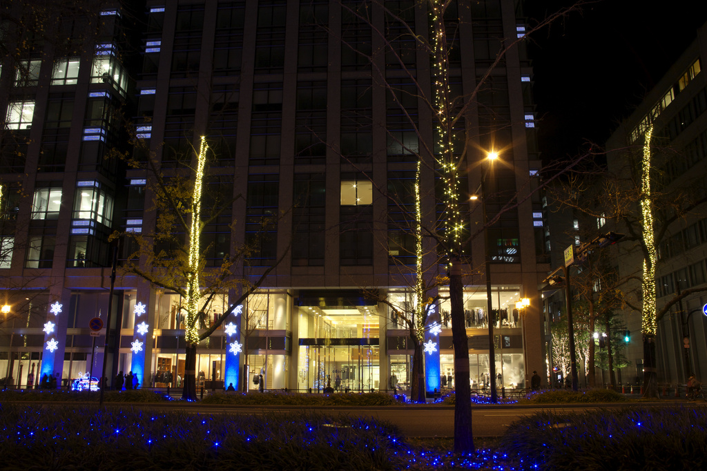 御堂筋　Illumination
