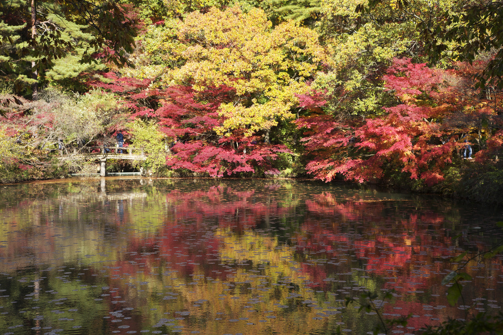 森林植物園
