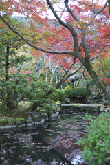 清水寺