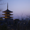 京都東山花灯路　八坂の塔