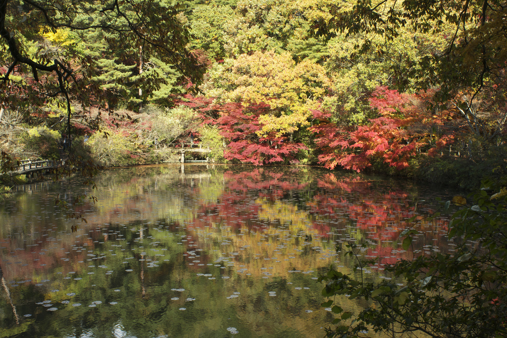 森林植物園