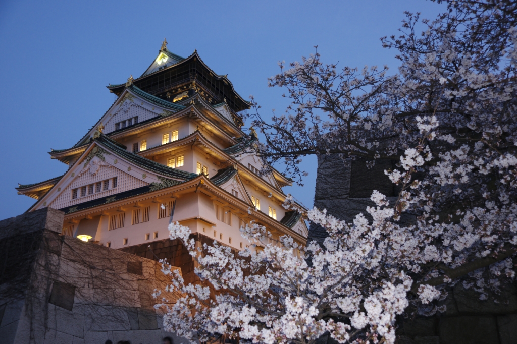 大阪城　桜