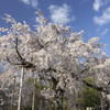 丸山公園