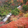 清水寺　紅葉