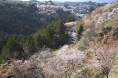 吉野