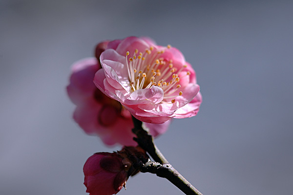 20050214-020-600