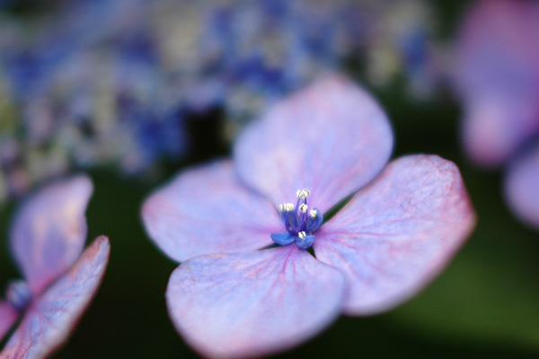 040712-055-600x400