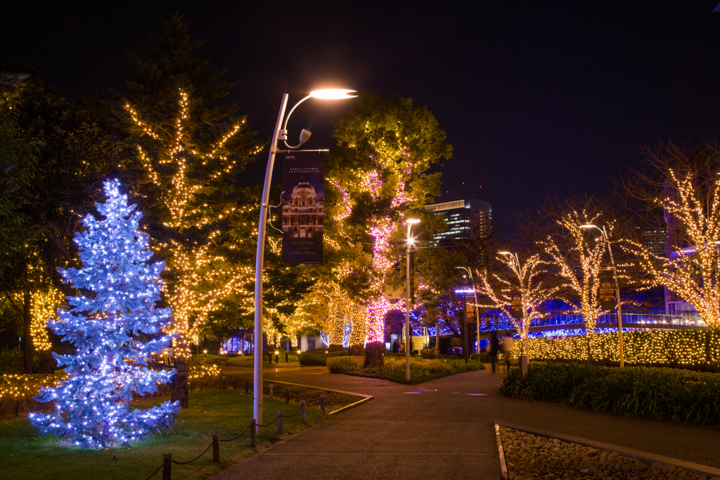 ミッドタウンクリスマス2015 /9