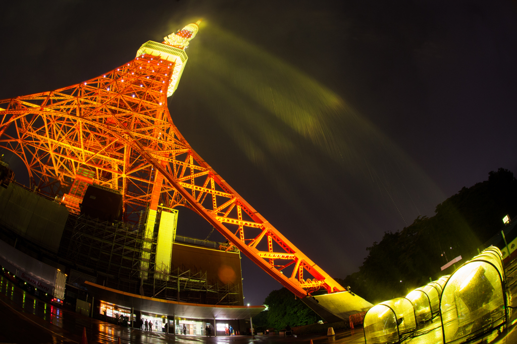 東京タワー MARK X Yallow Label ライトアップ
