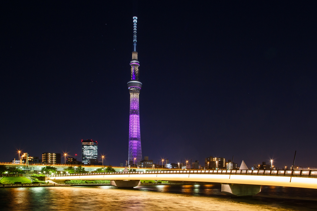 東京スカイツリー新雅変化時ライティングと桜橋