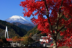 紅葉の丹沢湖畔より望む富士