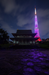 東京タワーピンクリボンライトアップ2015