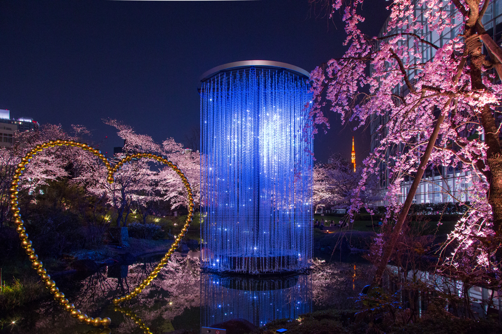 毛利庭園クリスタル花火と桜のライトアップ