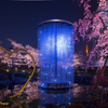 毛利庭園クリスタル花火と桜のライトアップ