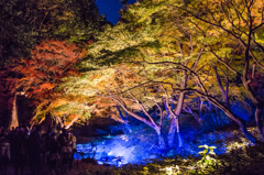 六義園・紅葉と大名庭園のライトアップ