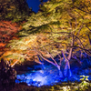 六義園・紅葉と大名庭園のライトアップ