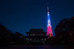 『pray for paris』東京タワートリコロールカラーダイヤモンドヴェール