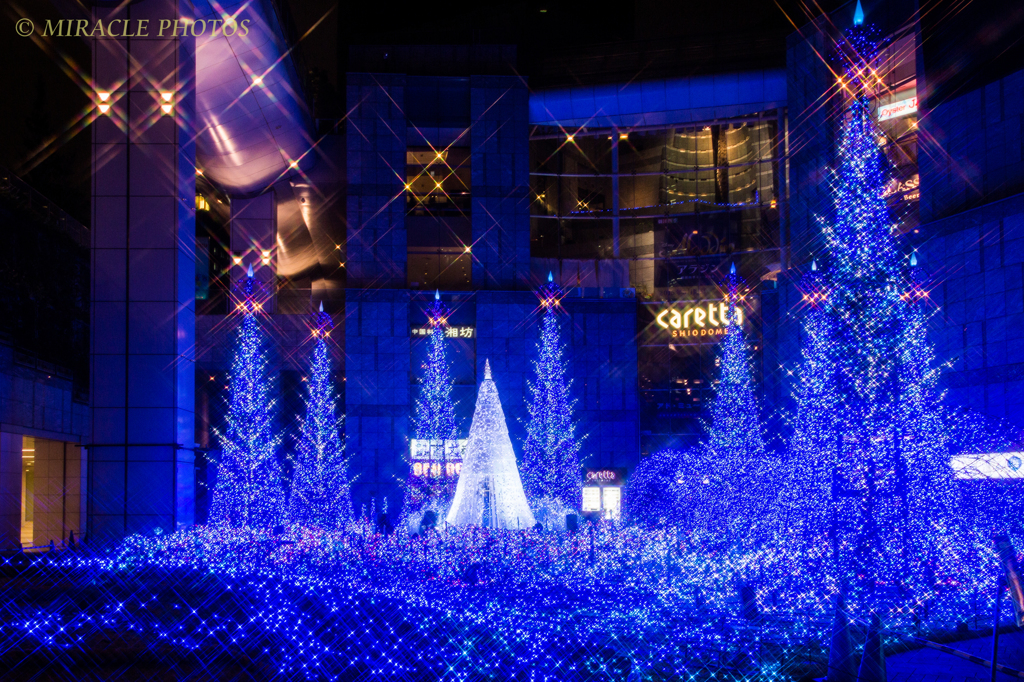 Caretta Illumination　2014