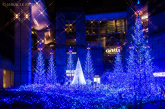 Caretta Illumination　2014