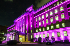 ピンクリボンかながわ2014／神奈川県庁本庁舎