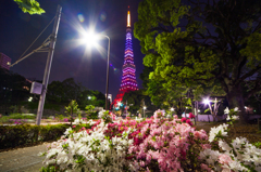 東京タワー星条旗カラーダイヤモンドヴェール