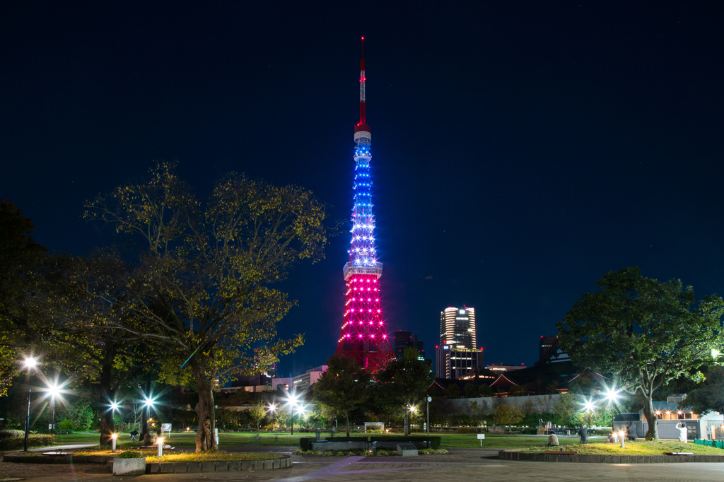 『pray for paris』東京タワートリコロールカラーダイヤモンドヴェール