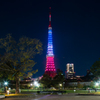 『pray for paris』東京タワートリコロールカラーダイヤモンドヴェール