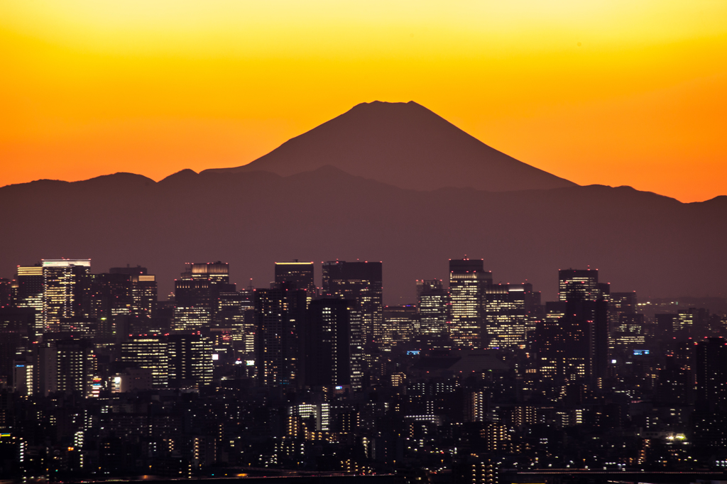 夕景富士と高層ビル群
