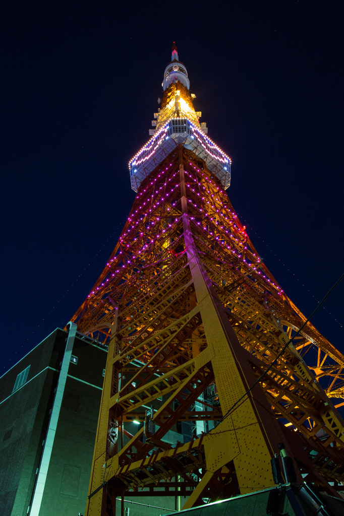 東京タワー クリスマス・ライトダウンストーリー2015 /3