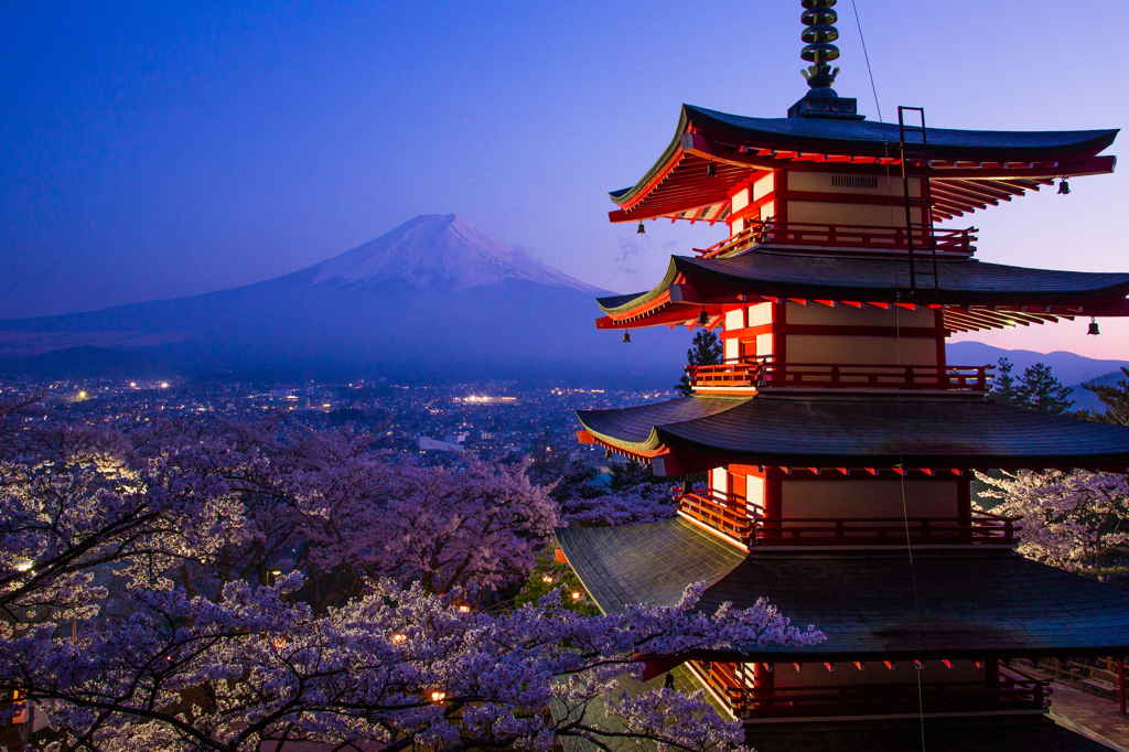 富士山と新倉山浅間公園の夜桜