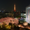 春の毛利庭園と東京タワー夜景