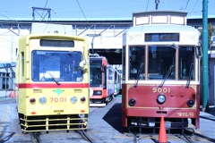 6176676928_IMG_6447