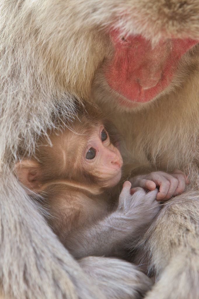 Mother and baby