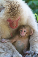 Mother and Baby