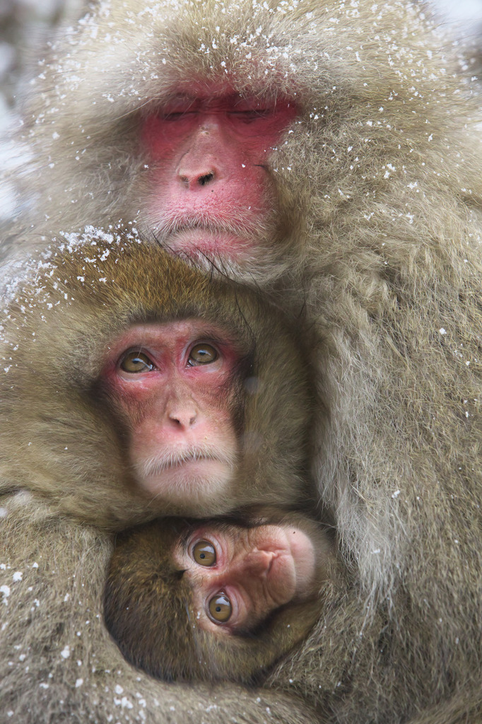 Mother and sisters