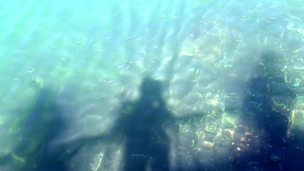 途方に暮れる。。。。