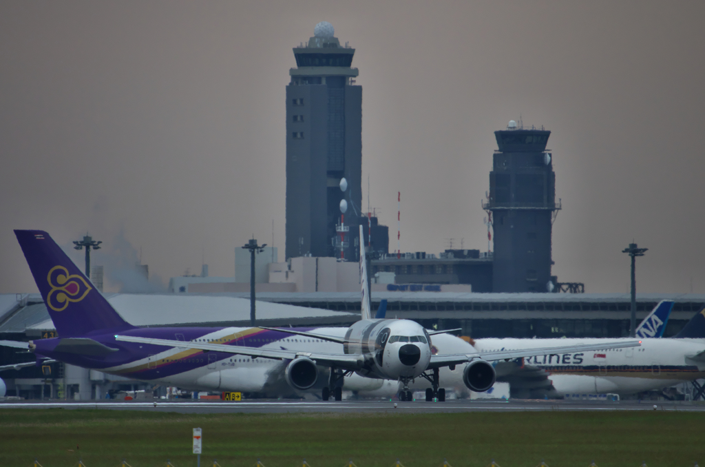 パンダが居た日　