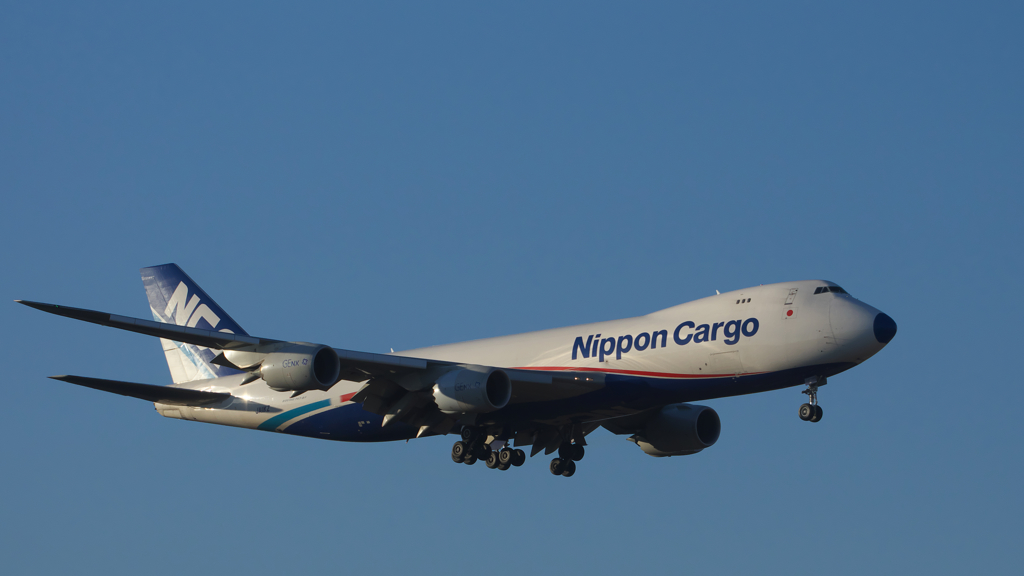 青いレドーム。。。