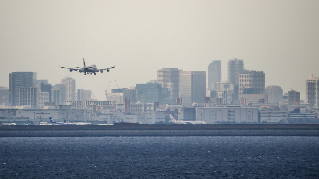 Cygnusが舞い降りる