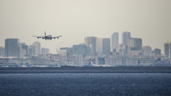 Cygnusが舞い降りる