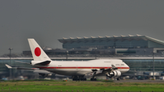 真夏の帰国