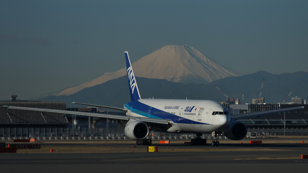ANA & FUJI