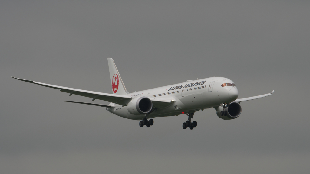 JAL 787-9　壱号機