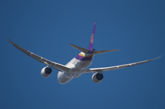THAI B787