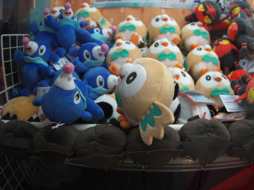 こいつ立つぞ。。。。