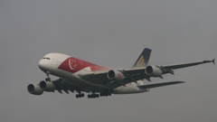 Singapore　A380