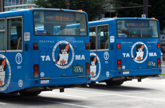 TAMA 出発